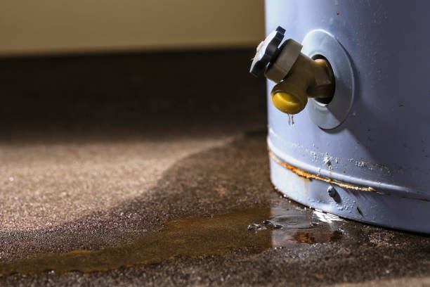 Best Emergency water damage restoration  in Scotts Hill, TN