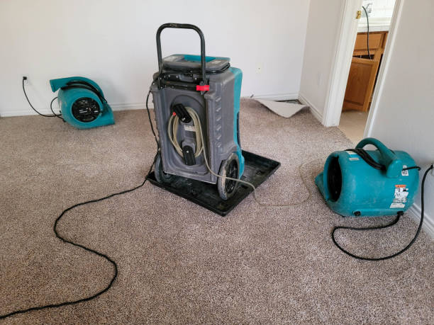 Best Water damage restoration cost  in Scotts Hill, TN