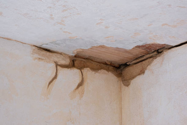 Best Commercial water damage restoration  in Scotts Hill, TN