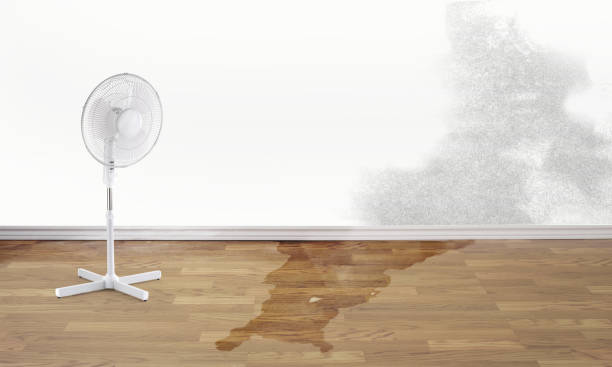  Scotts Hill, TN Water damage restoration Pros