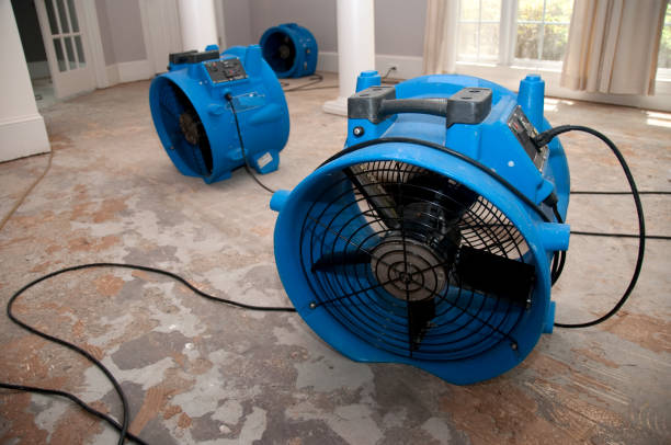 Best Flooded house restoration  in Scotts Hill, TN