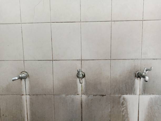 Trusted Scotts Hill, TN Water damage restoration Experts