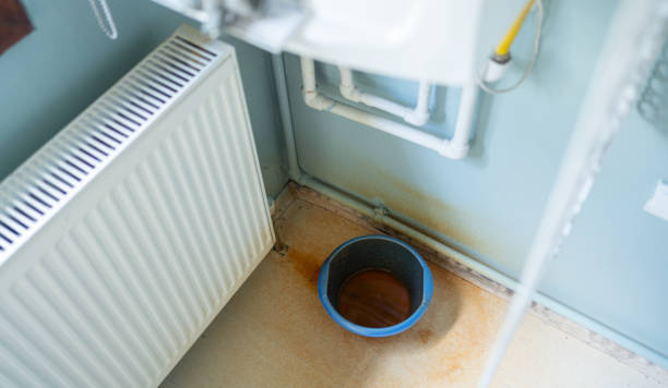 Best Sewage cleanup and water damage restoration  in Scotts Hill, TN