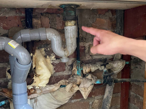 Best 24-hour water damage restoration  in Scotts Hill, TN