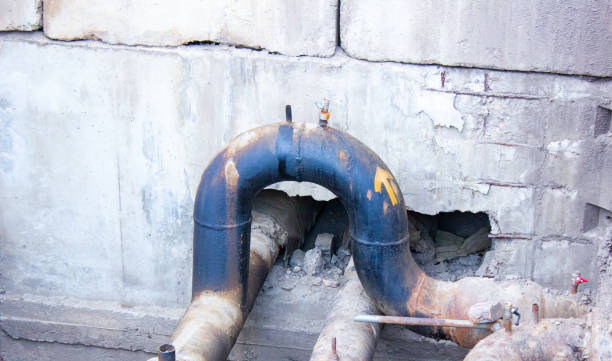 Best Sewage cleanup and water damage restoration  in Scotts Hill, TN