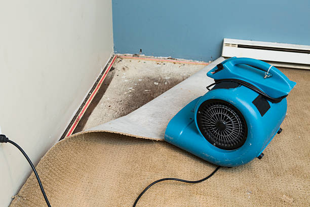 Best Emergency water damage restoration  in Scotts Hill, TN
